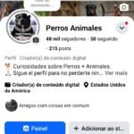 Perfil do Facebook Monetizado