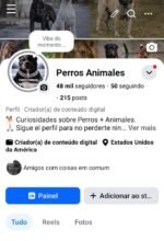 Perfil do Facebook Monetizado