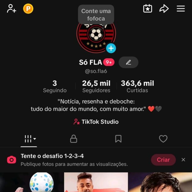 Canal do YouTube no nicho notícias do flamengo