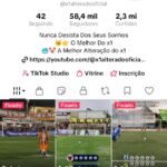 Conta tiktok