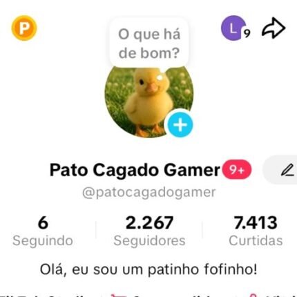 Conta tiktok 2000 seguidoresc com tiktokshop ativo