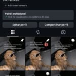Conta Instagram impecável, 33k seguidores totalmente orgânicos.