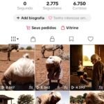 AQUECIDA PARA TIKTOK SHOP 2775 Seguidores