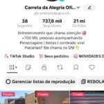 Conta TikTok Monetizada Com mais de 730 mil seguidores