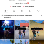 PERFIL DO TIK TOK COM 140K DE SEGUIDORES, NÃO FLOPADA⚠️.