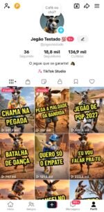 VIRAL E ENGAJADA!! CONTA COM 18.8K PERFEITA PARA TIK TOK SHOP!!!