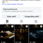 Instagram com 11 Mil Seguidores Reais e Ativos