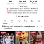 Vendo conta do tiktok com total de 14,4 mil seguidores, conta ativa para tiktok shop e monetizada,já com recompensas para saque,visualizações maravilhosas, engajamento maravilhoso, n̈ perca essa oportunidade,