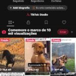 Conta do tiktok +1K