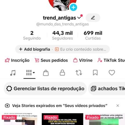 Conta tiktok 44mil seguidores