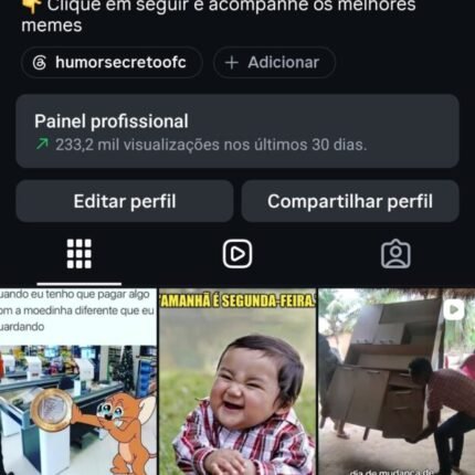 Página Humor secreto no instagram a venda 473 mil seguidores