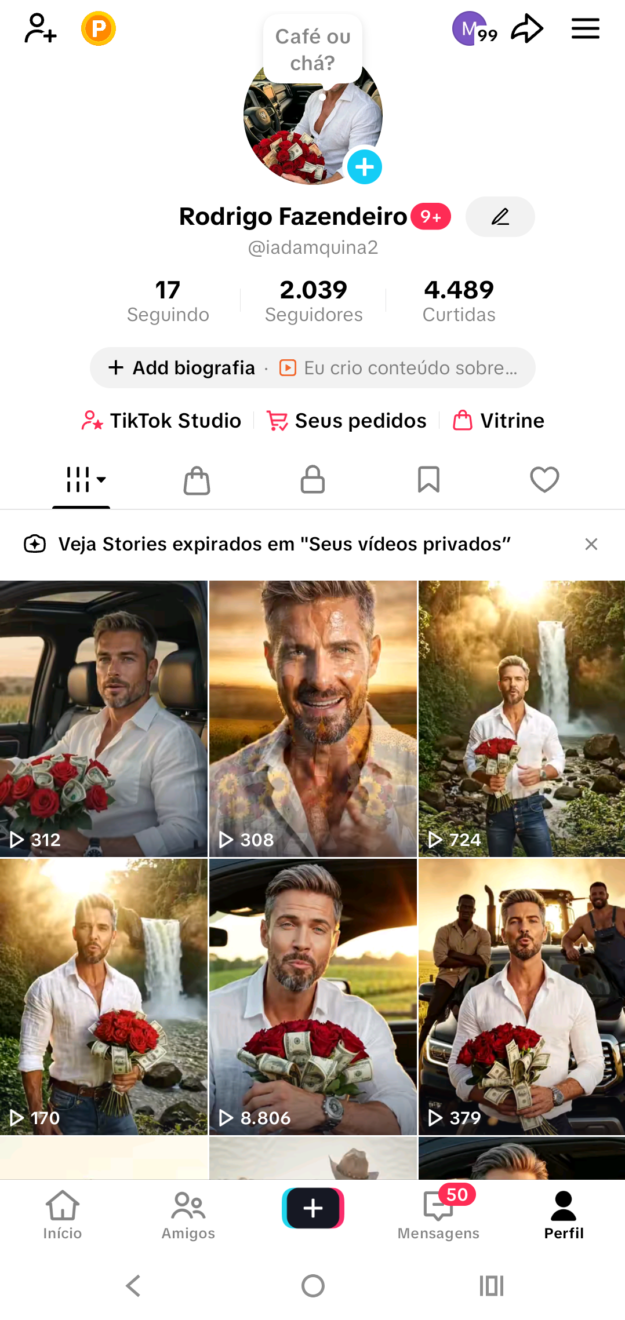 cropped-Screenshot_20260519-181151.TikTok.png Conta BR TIK TOK SHOPPING 2 K de seguidores - Imagem 1