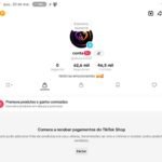 CONTA DE TIKTOK COM TIKTOK SHOP ATIVO E MONETIZAÇÃO + 62.6K DE SEGUIDORES MUITO ENGAJADA COM VÍDEO DE MAIS DE 1 MILHÃO DE VIEWS!!!!!! (Oferta Imperdível)