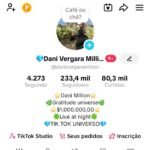 Tik tok 233 K seguidores