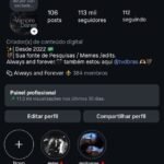 CONTA INSTAGRAM 113K