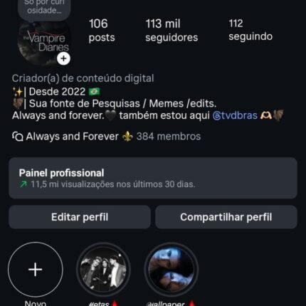 CONTA INSTAGRAM 113K