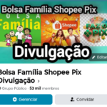 Grupo Bolsa Família Shopee Pix de 52 Mil Membros