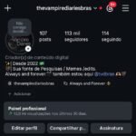CONTA INSTAGRAM 113 MIL SEGUIDORES