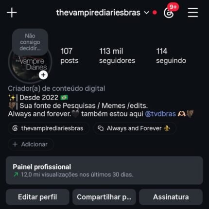 CONTA INSTAGRAM 113 MIL SEGUIDORES