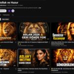Canal no nicho de Astrologia 1.300 h Batidas e 1.051 inscritos batidos (Idioma Turco)
