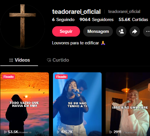 cropped-TE-ADORAREI-HOIE.png TIKTOK 9 MIL SEGUIDORES (TIKTOKSHOP LIBERADO) - Imagem 1