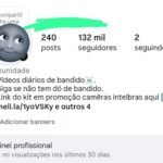 Insta 130k seguidores (orgânico)