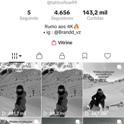 TIKTOK: Conta Muito Engajada +4600 Seguidores