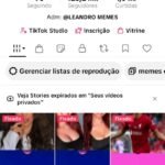 CONTA DE MEMES MONETIZADA NO TIKTOK COM 123K DE SEGUIDORES