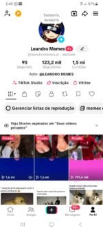 CONTA DE MEMES MONETIZADA NO TIKTOK COM 123K DE SEGUIDORES