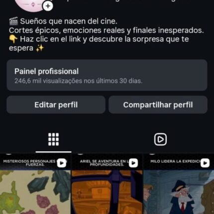 CONTA 14K SEGUIDORES - ESPANHOL