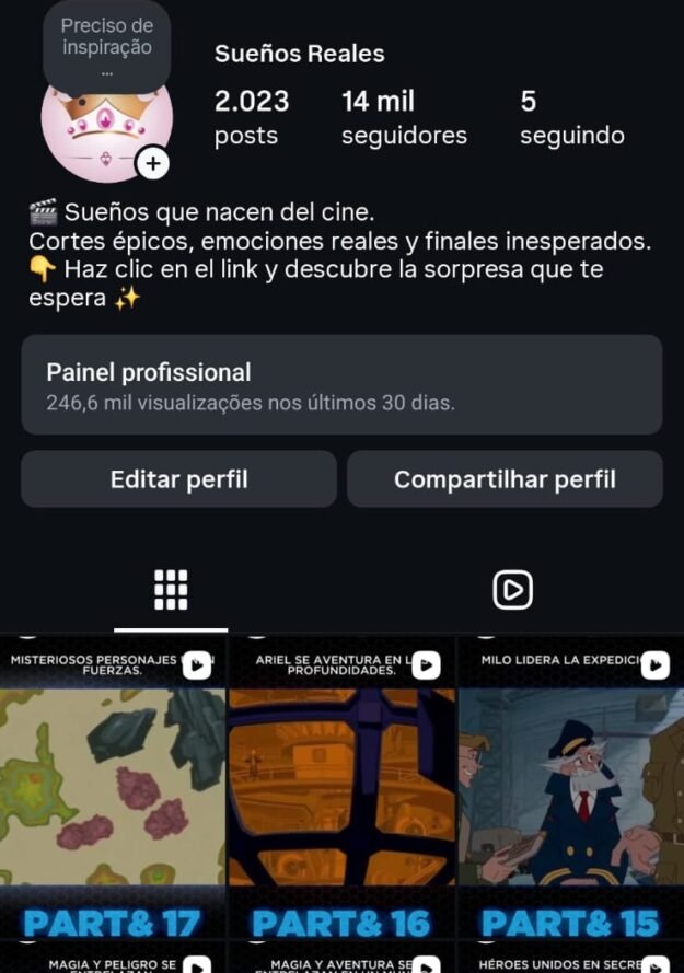 cropped-WhatsApp-Image-2026-05-24-at-21.01.16.jpeg CONTA 14K SEGUIDORES - ESPANHOL - Imagem 1