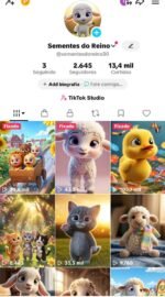 TIKTOK 2.6k - Tiktok Shop / DOC EM BRANCO