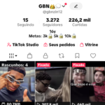 Conta do tiktok 3,3 mil seguidores