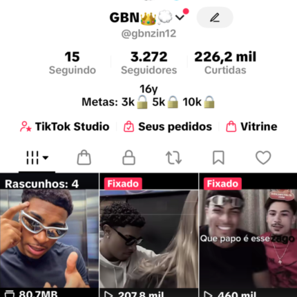 Conta do tiktok 3,3 mil seguidores