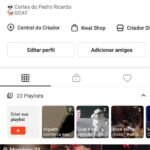 Página Kwai 16k Seguidores ativa
