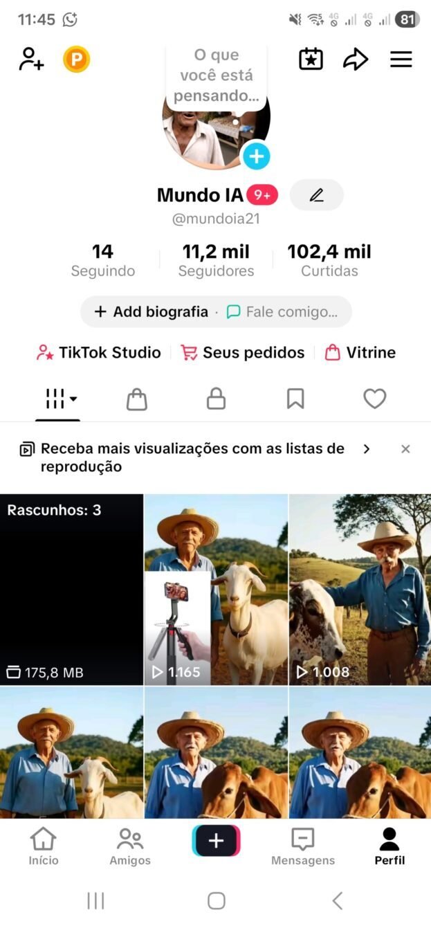 cropped-cropped-Screenshot_20260518_114531_TikTok-scaled-1.jpg Conta tiktok monetizada Seguidores: +11.200 (público real e ativo) - Imagem 1