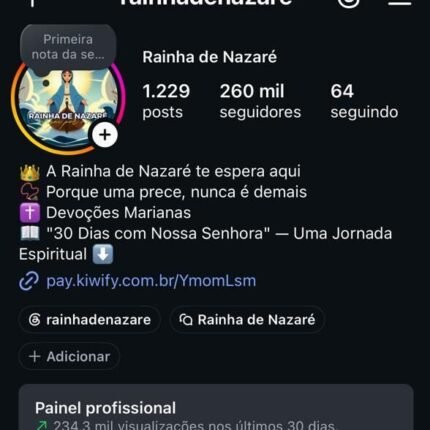 INSTAGRAM ENGAJADO COM SEGUIDORES REAIS