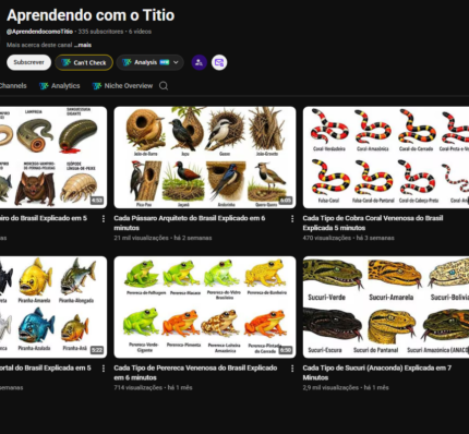 Canal Youtube 335 inscritos Nicho educativo/curiosidades sobre animais. 2500h batidas