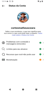 🚀CONTA DO INSTAGRAM ORGÂNICO (20 mil seguidores & 2.6 MILHÕES de viws em 30D) - Imagem 6