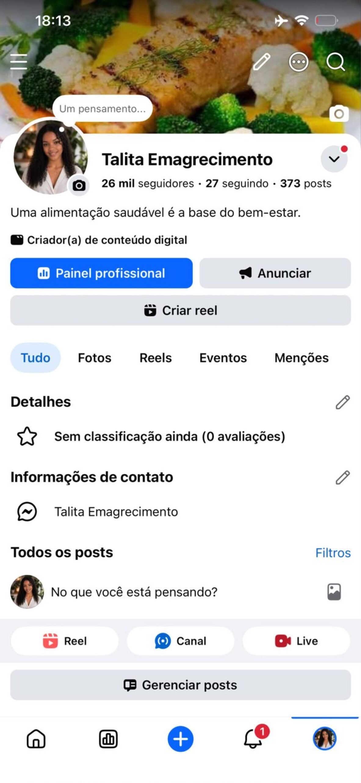 IMG-20260605-WA0102 PÁGINA MONETIZADA A VENDA - Imagem 1