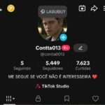 Tik Tok sem shop ativo com um bom engajamento