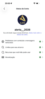 Instagram 141 Mil Seguidores - Imagem 2