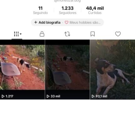 🐶💸 CONTA TIKTOK À VENDA – PRONTA PARA REUTILIZAR E MONETIZAR 💸🐶