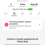 🚨 CONTA TIKTOK À VENDA 🚨