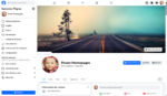 Página Facebook Power Homepages 1600 Seguidores
