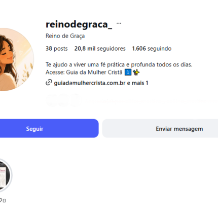 Instagram Cristão Feminino 20,8k