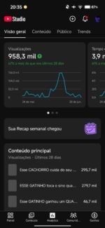 CANAL DE CURIOSIDADE COM 12,6k SUBS CRESCENDO RAPIDO🔥(oportunidade única) - Imagem 4