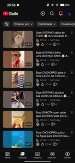 CANAL DE CURIOSIDADE COM 12,6k SUBS CRESCENDO RAPIDO🔥(oportunidade única) - Imagem 2