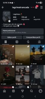 Instagram impecável 170k crescimento orgânico