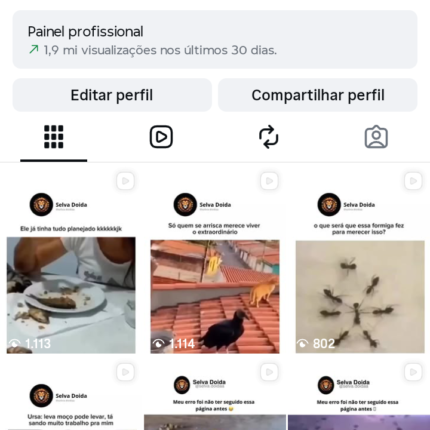 INSTAGRAM 5K MEMES ANIMAIS